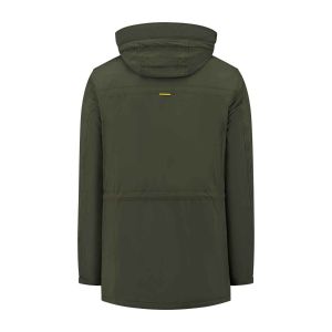 Redpoint Dave - Olive